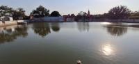 Govardhan Parikrama by eRickshaw. (Uddhav Kund, Kusum Sarovar, Govind Kund) (21 March 2025)